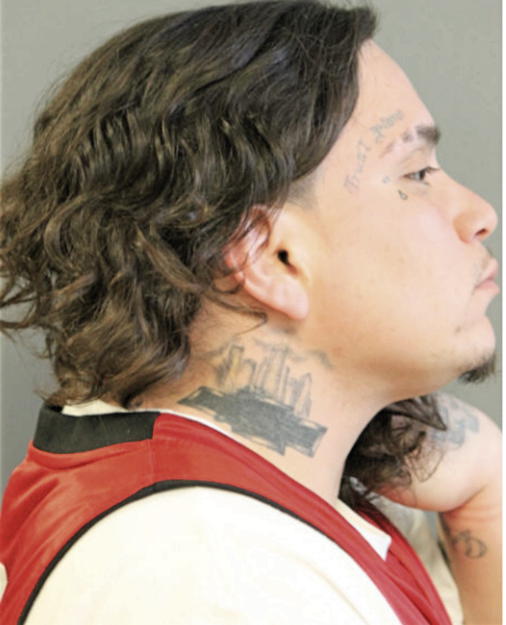DAVID PEREZ, Cook County, Illinois