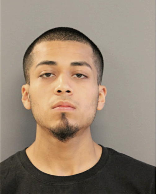 CHRISTOPHER J SAEZ, Cook County, Illinois