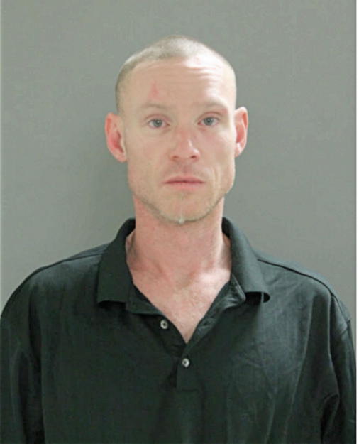 BRYAN E SCHMIDT, Cook County, Illinois