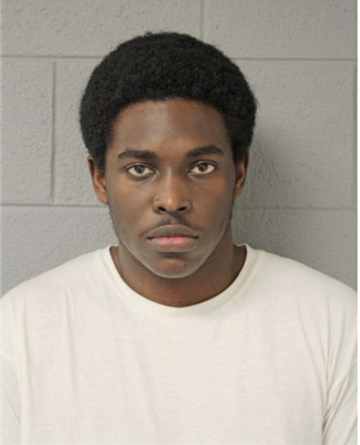 BRIAN E TERRELL, Cook County, Illinois