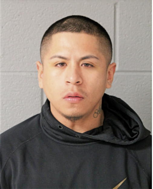 JAVIER JUNIOR TILAPA, Cook County, Illinois