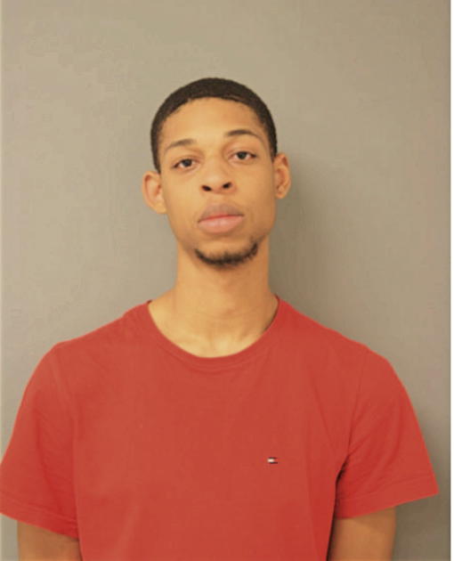 DERRICK C WOODS, Cook County, Illinois