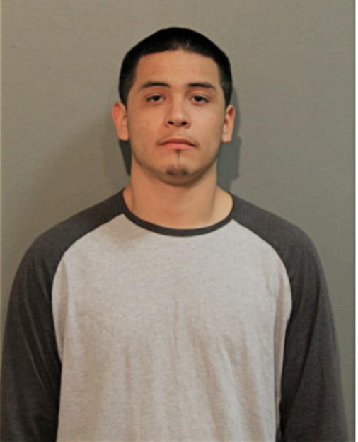 JAIME A BENAVENTE, Cook County, Illinois