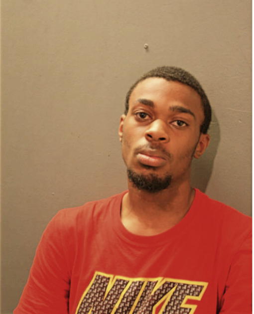 AARON J BROWN, Cook County, Illinois