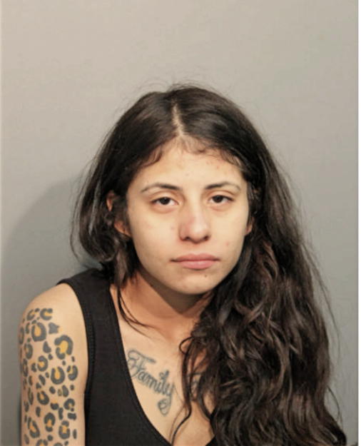 MELANIE J CABRERA, Cook County, Illinois