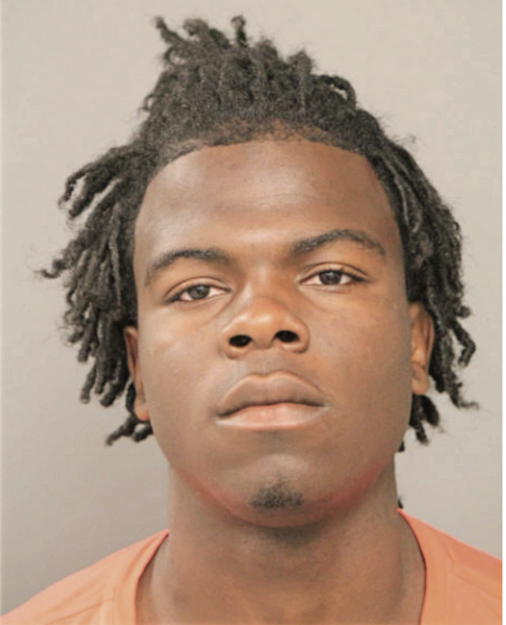 TERRANCE A ELANE, Cook County, Illinois