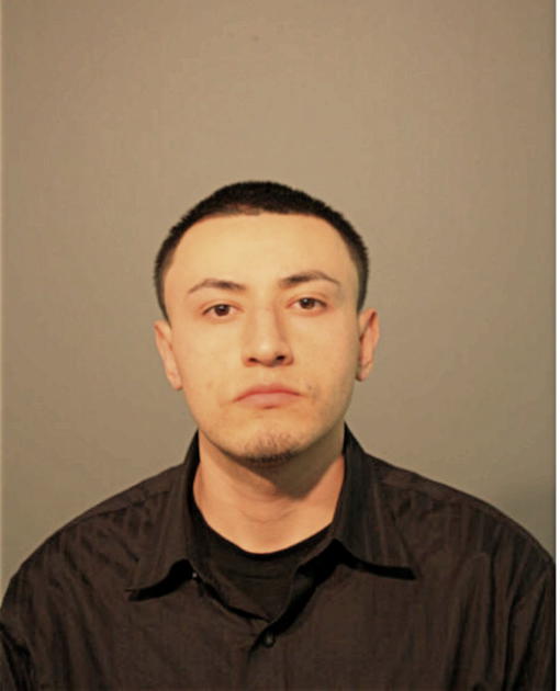 JOSE M ESTRADA, Cook County, Illinois