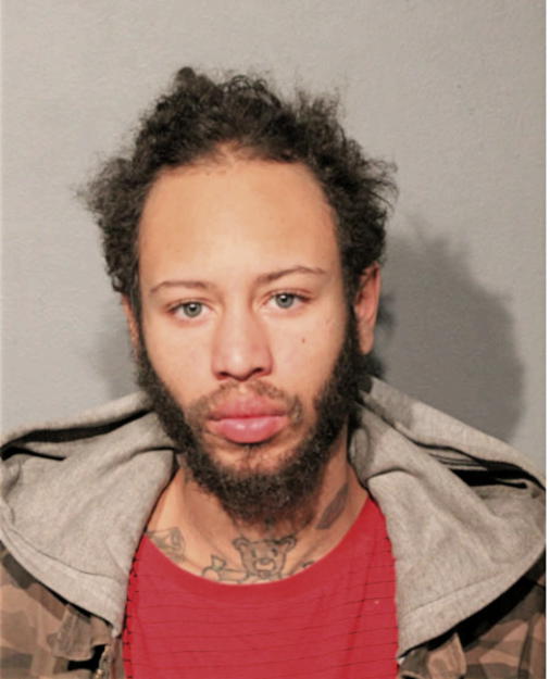 NICHOLAS J GRADY, Cook County, Illinois