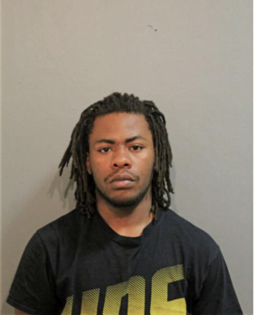 BRIAN M JOHNSON, Cook County, Illinois