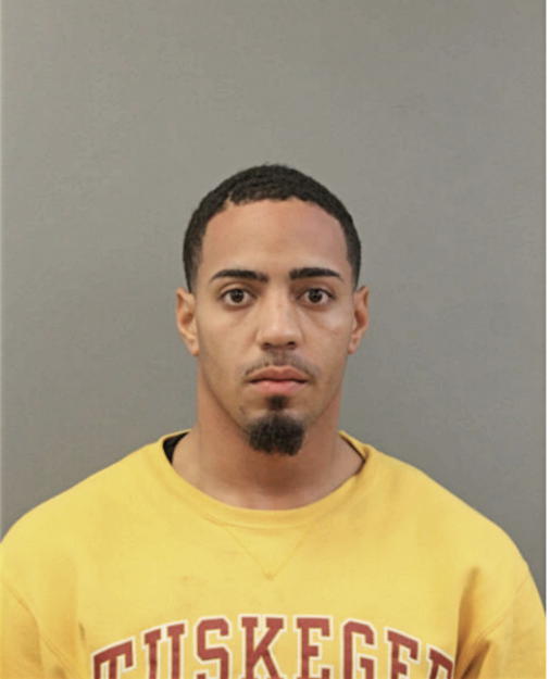 DEMETRIUS T JOHNSON, Cook County, Illinois