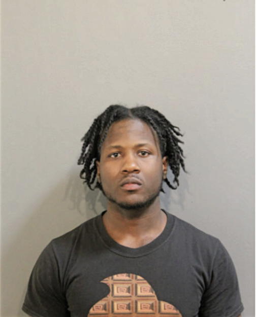 JOSEPH T MULLINS, Cook County, Illinois