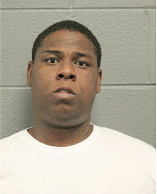 ROBERT L NORRIS, Cook County, Illinois