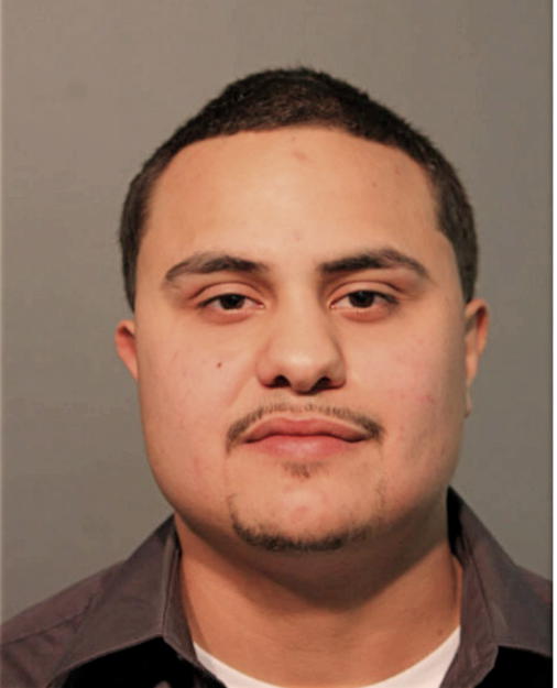 JOSHUA ORTIZ, Cook County, Illinois
