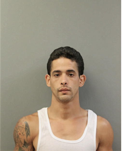 JOEL PEREZ, Cook County, Illinois