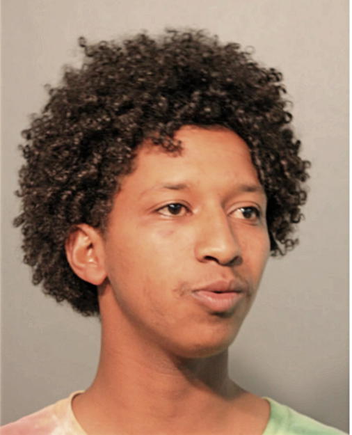 MILKIAS TEWELDEBRHANE, Cook County, Illinois