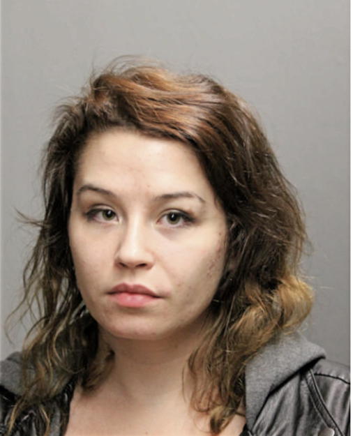 MEAGAN K TUNNAT, Cook County, Illinois