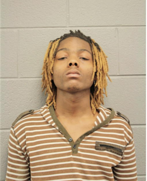 DESMOND L TURNER, Cook County, Illinois