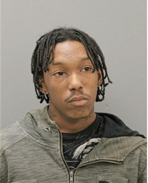 BRYAN K WILLIAMS, Cook County, Illinois