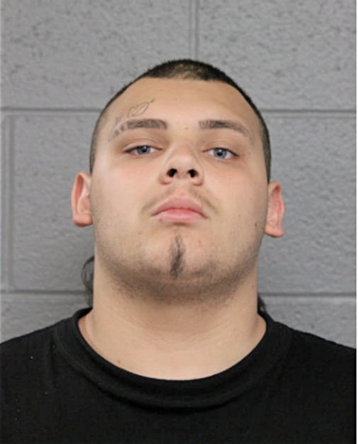 GINO F ZEPEDA, Cook County, Illinois