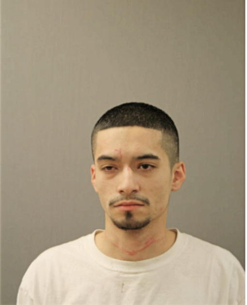 MARCOS ALARCON, Cook County, Illinois