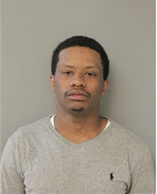 ANDREW J BINION, Cook County, Illinois