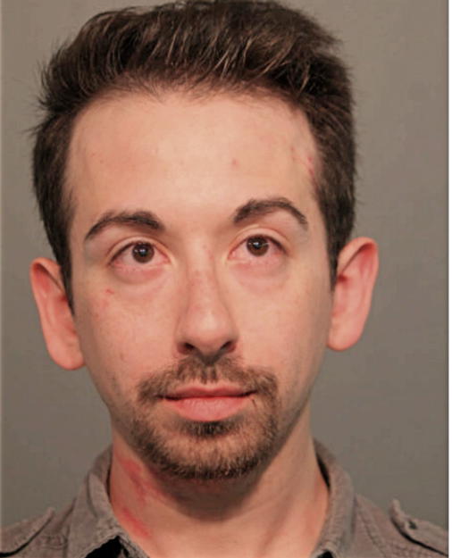 DOMINIC BOYTE, Cook County, Illinois