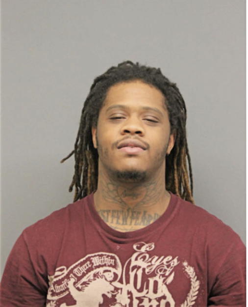JAVON U BROWN, Cook County, Illinois