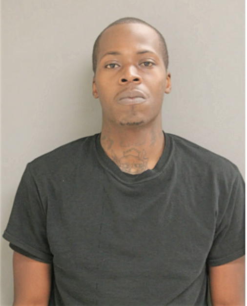 SALVADOR DJ BROWN, Cook County, Illinois