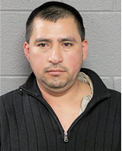 GAMALIEL TORRES CORTES, Cook County, Illinois
