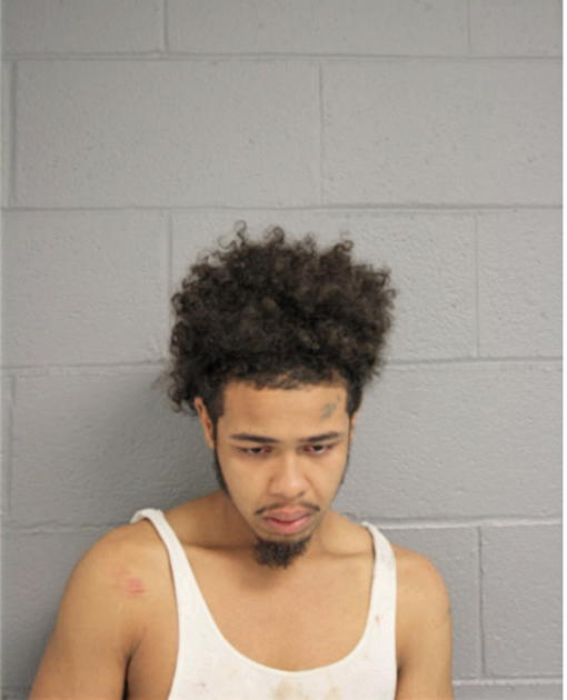 CHRISTOPHER D DAVIS, Cook County, Illinois