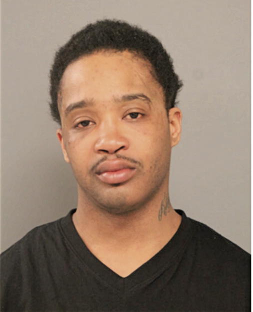 AARON J DELANEY, Cook County, Illinois