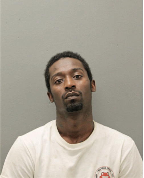 JAMES E FORD, Cook County, Illinois