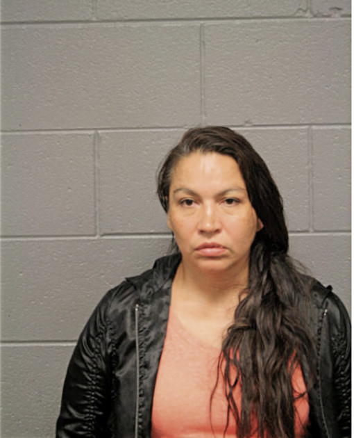 MICHELLE D FOUDEH, Cook County, Illinois