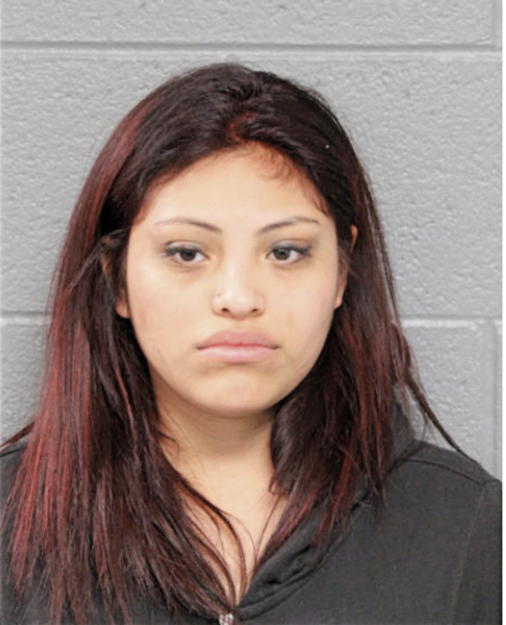 BIANCA A GUAJARDO, Cook County, Illinois