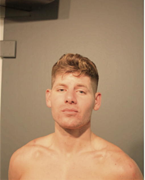 RYAN E HALE, Cook County, Illinois