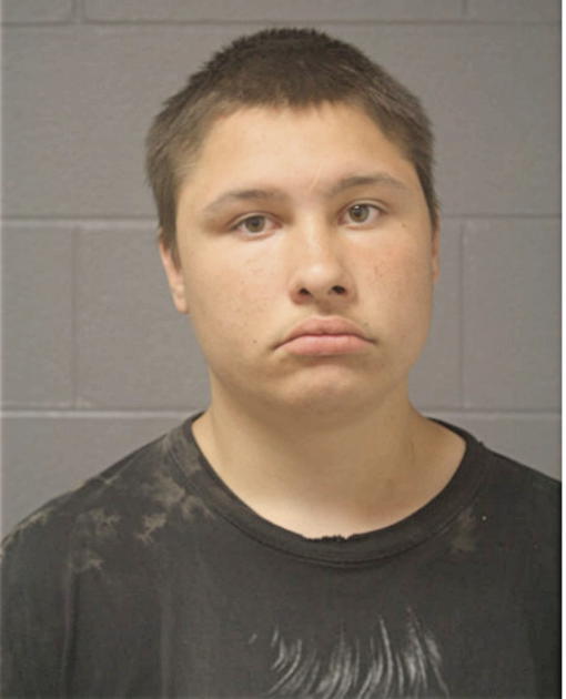 MARK A HALL, Cook County, Illinois