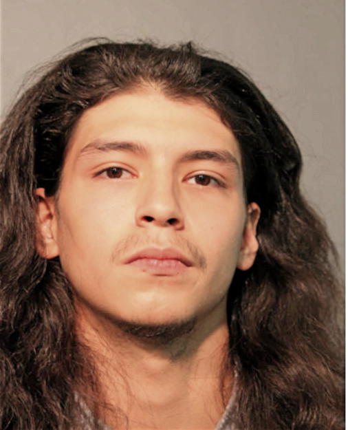 RAPHAEL L HALM, Cook County, Illinois