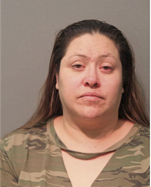 HAYDEE HERNANDEZ-SOSA, Cook County, Illinois