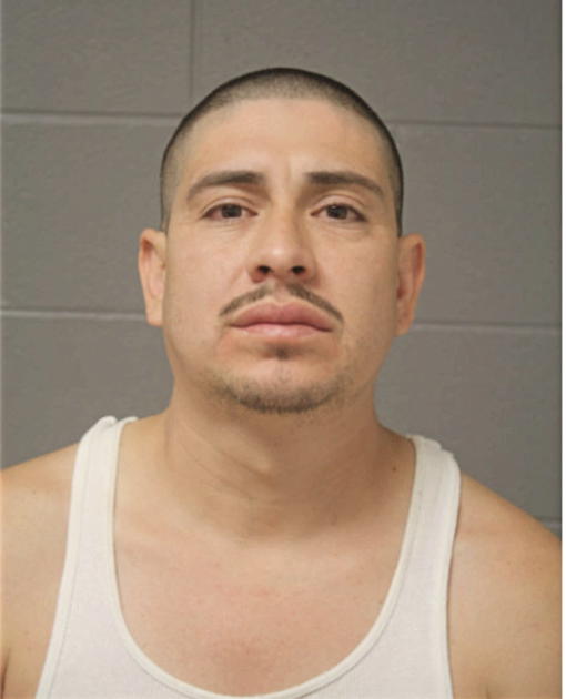 JOSE LUIS HUITRON, Cook County, Illinois