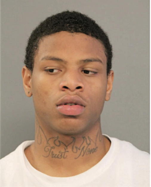 MICHAEL C JACKSON, Cook County, Illinois