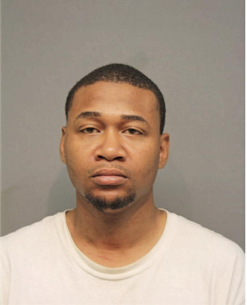 VINCENT L JOHNSON, Cook County, Illinois