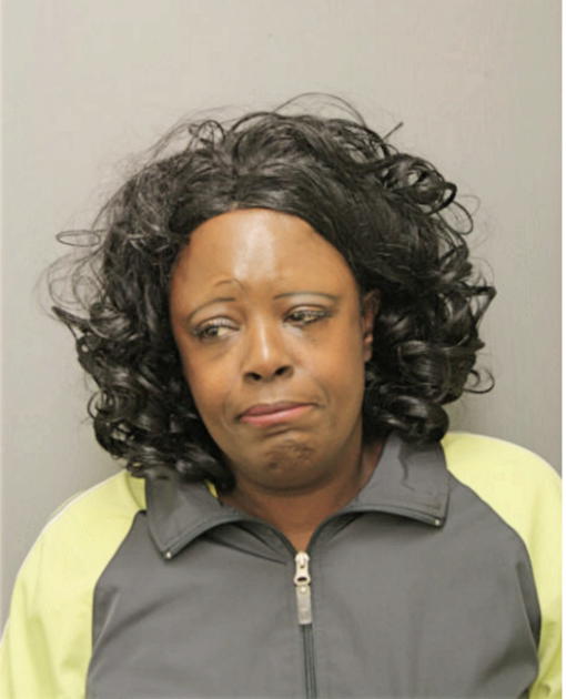 MARY E JONES, Cook County, Illinois