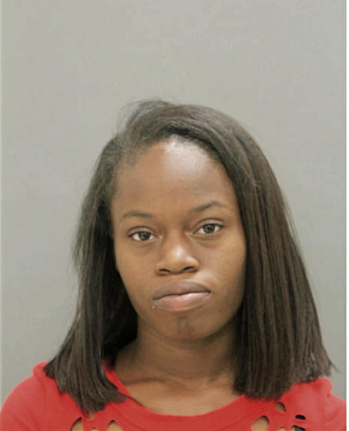 DANISHA D L GREYER, Cook County, Illinois