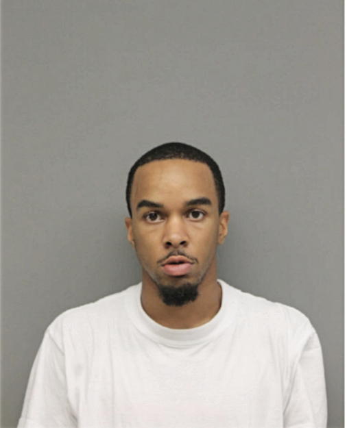 RYAN R LARRY, Cook County, Illinois