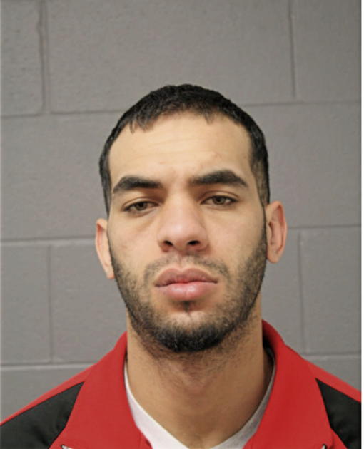 BILAL I MATARIEH, Cook County, Illinois