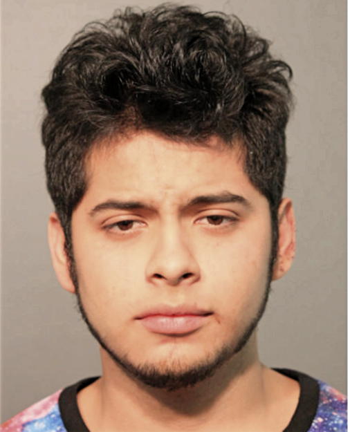 ALBERTO P ORTEGA, Cook County, Illinois