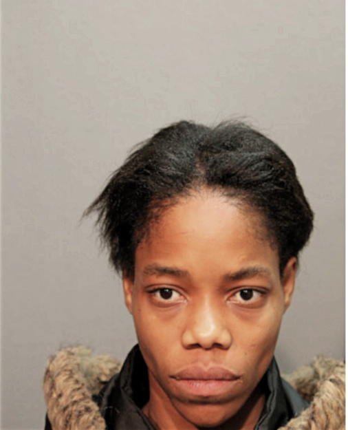 BRIDGET ANN RIMMER, Cook County, Illinois