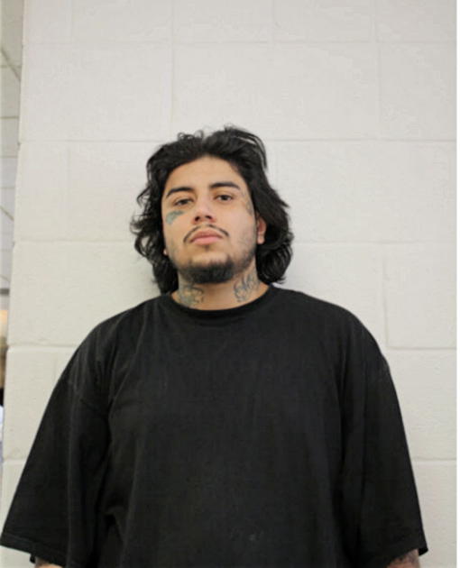 MICHAEL J STRONG, Cook County, Illinois