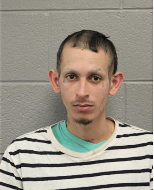 LUIS TORRES, Cook County, Illinois