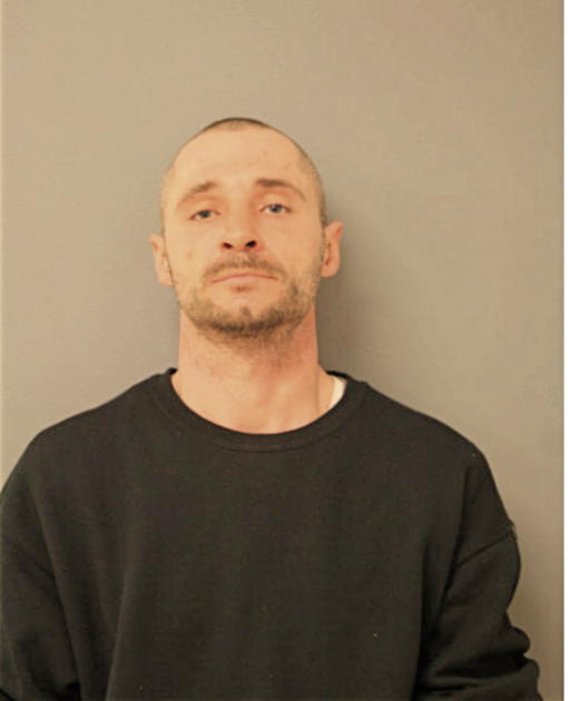 DARYL W VAUGHN, Cook County, Illinois